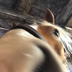 Grace Blackburn - Facebook