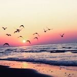 Chelsea grace Blount - @chelsea_b_loves_you_ - Instagram
