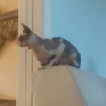 Evelyn grace boggs - @evelyn_boggs - Instagram