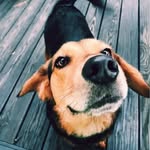 Sandy Grace Bracken - @sandy.grace_2 - Instagram