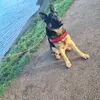 Grace Bridges - @gracebridges13 - TikTok