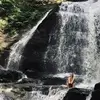 Grace Briggs - @grace.briggs5 - TikTok