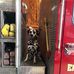 EMBER  GRACE Broussard - Facebook