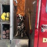 Ember Grace Broussard - @ember_bfd - Instagram