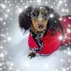 Grace Bruno668 - @gracebruno668 - TikTok