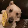 Grace_bruno - @carannek - TikTok