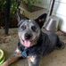 Grace Calabrese - Facebook