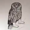 gracecalvert2 - @gracecalvert2 - TikTok