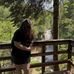 Grace Carley - Facebook