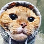 Grace carpenter - @artismylife72 - Instagram