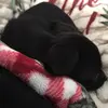 Grace Carpenter - @liv20095 - TikTok