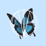 Grace Carver - @blue_monarch_drafting - Instagram