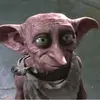 Grace Casey - @dobby.fan_acc58 - TikTok