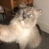 grace xxx - @gracecastles - TikTok