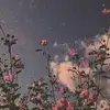 grace - @cecil_grace - TikTok