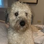 Grace & Chase - @grace__and__chase - Instagram