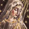 🇻🇦 - @graceofchristus - TikTok