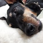 Cody Grace - @cody_grace_theamazing - Instagram