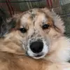 .. - @gracecolbert6 - TikTok