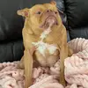 Grace Cole - @chickenjoeswife0 - TikTok