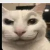 grace corrigan - @grace.corrigan4 - TikTok