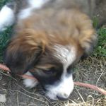 grace crocker - @gracecrocker__ - Instagram