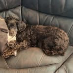 Grace Crocker - Facebook