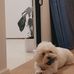 Grace Currie - Facebook