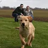 Grace Currie - @user13154576 - TikTok