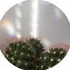 Grace Currie - @_grace.currie_ - TikTok