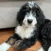 Grace Damico - @gracedamico_ - TikTok