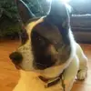 gracedamico399 - @bernbern_theakita - TikTok