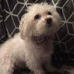 @gracedamico_3090 - Instagram