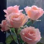 Grace Dayton - Facebook