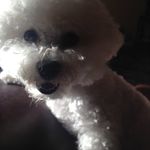 Grace Denny - @gldggmom - Instagram