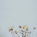 Grace DeVries - Facebook