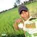Dickson Grace - Facebook