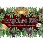 Reptiles Etc - Grace Dickinson - @reptiles_etc_ - Instagram