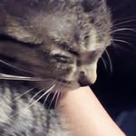 Molly Grace Dietz - @mollyg747 - Instagram