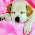 molly grace dietz - @molly_grace_dietz - Instagram