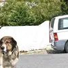 Grace Dobson - @grace.dobs9n - TikTok