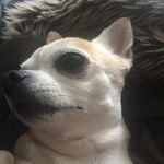 Grace Louise Dodds - @love_grace.dodds_love - Instagram