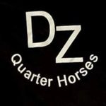 Grace Donohue - @dz_quarterhorses - Instagram