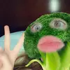 Grace - @gracedonohue - TikTok