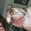 Grace Dotson - @grace_dotson97 - TikTok
