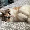 gracedotson59 - @gracedotson59 - TikTok