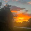 Grace.Dowd - @grace_dowd - TikTok