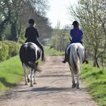 equine photographer x - @graceduffin789 - Instagram