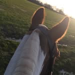 Grace Duffin👑 - @gd_eventing - Instagram