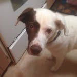 Kendall Grace Dunaway - @kgd2006_loves_scince - Instagram